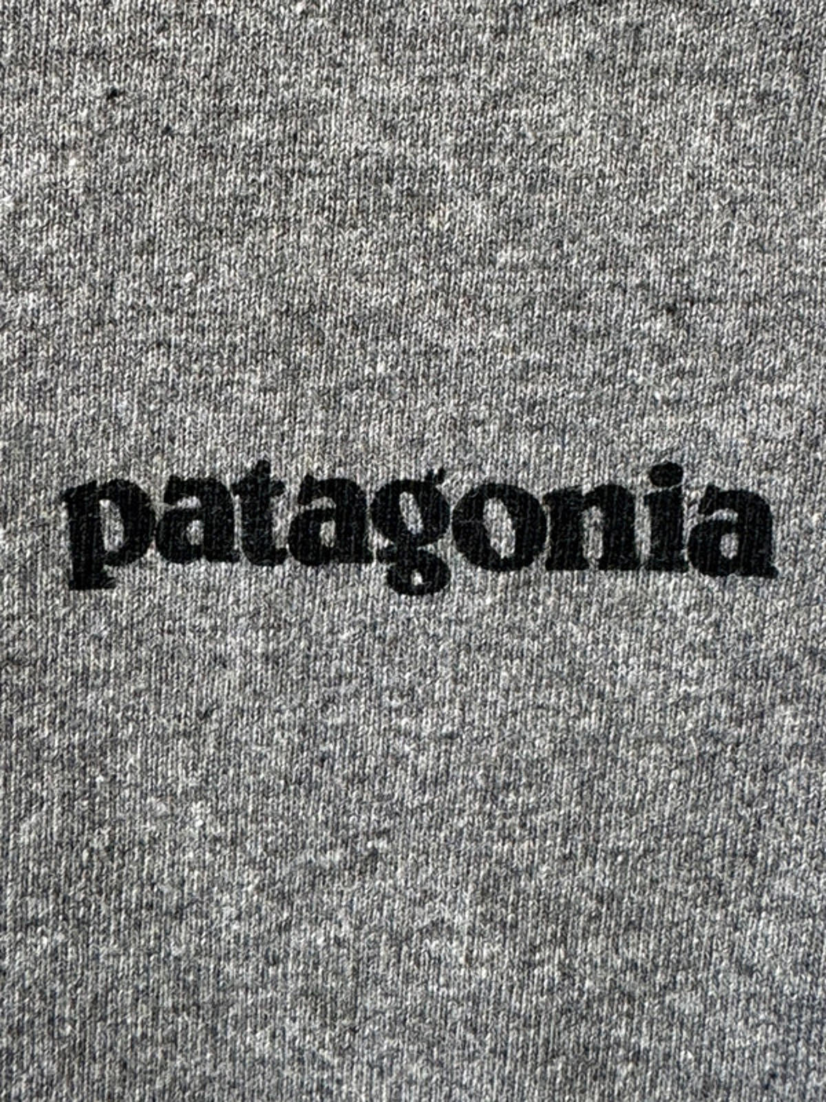 Men’s Patagonia Crew Neck Long Sleeve T-Shirt With Print - Medium -1434