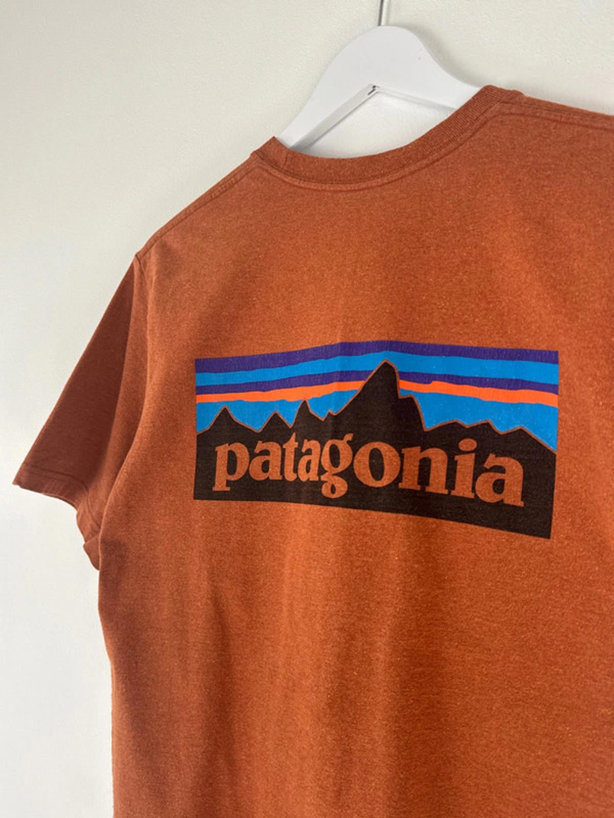 Men’s Patagonia Crew Neck T-Shirt With Print - Medium -1365