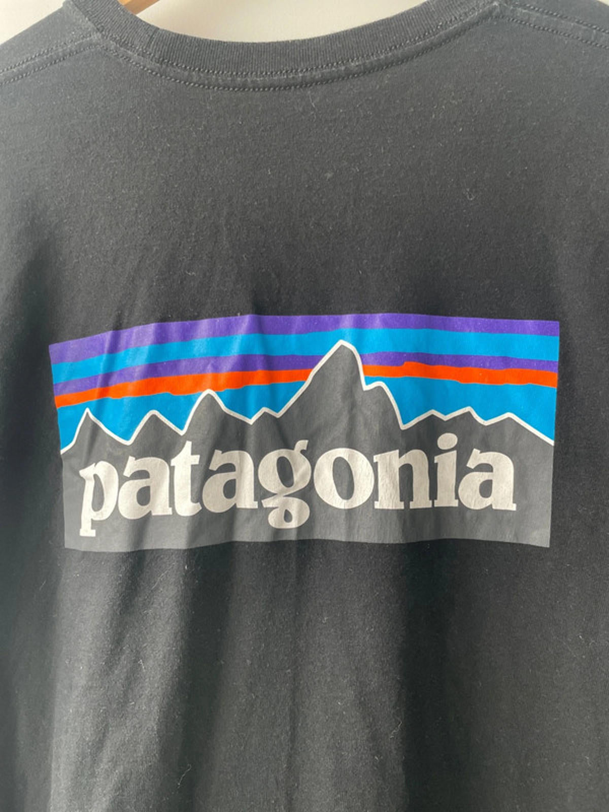 Men’s Patagonia Long Sleeve Crew Neck Printed T-shirt - Medium - 1537