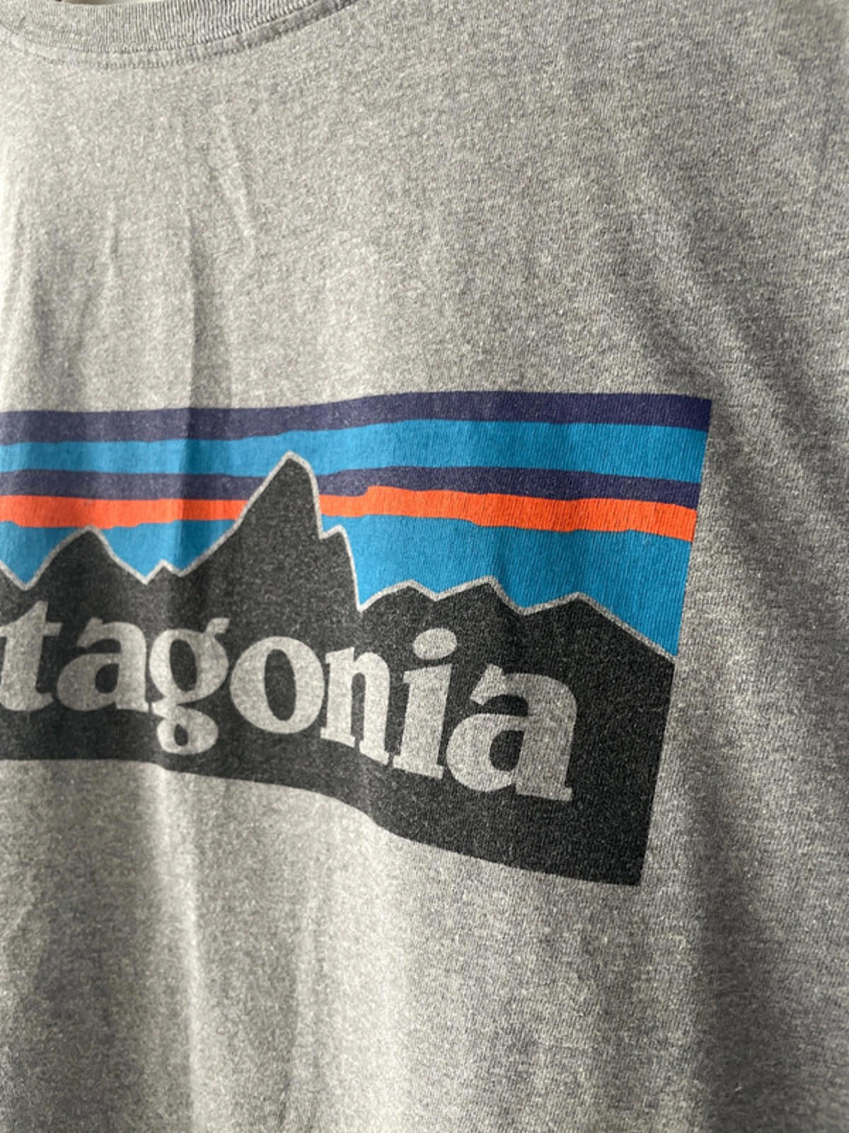 Men’s Patagonia Crew Neck Printed T-shirt - XLarge - 1903