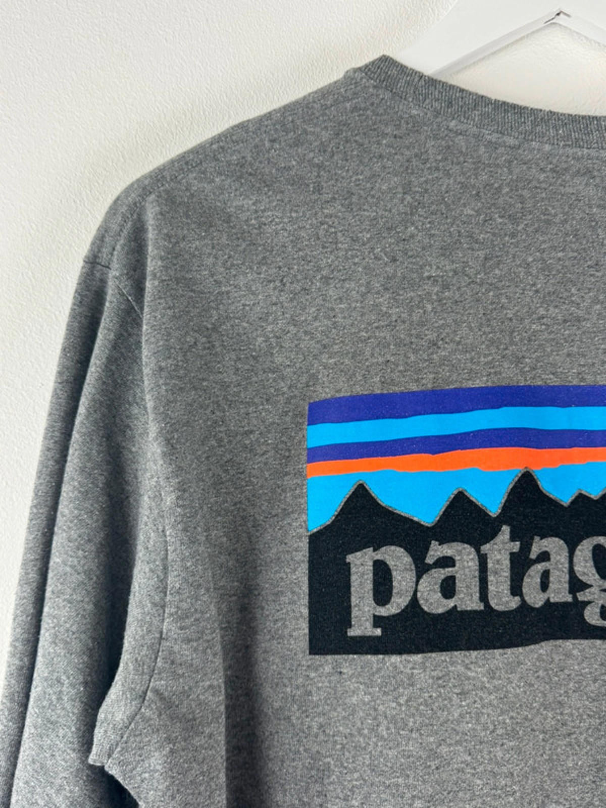Men’s Patagonia Crew Neck Long Sleeve T-Shirt With Print - Medium -1434