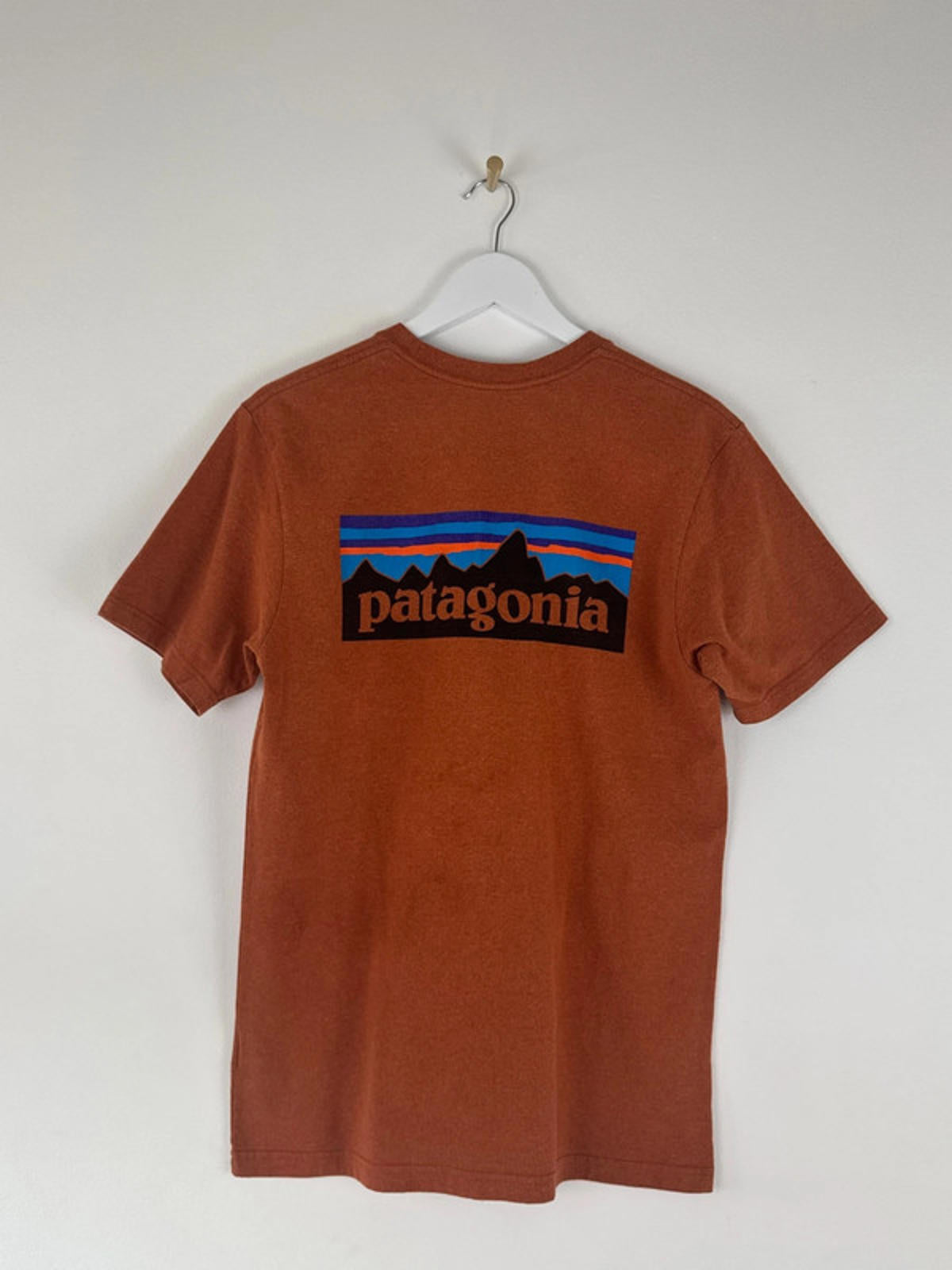 Men’s Patagonia Crew Neck T-Shirt With Print - Medium -1365