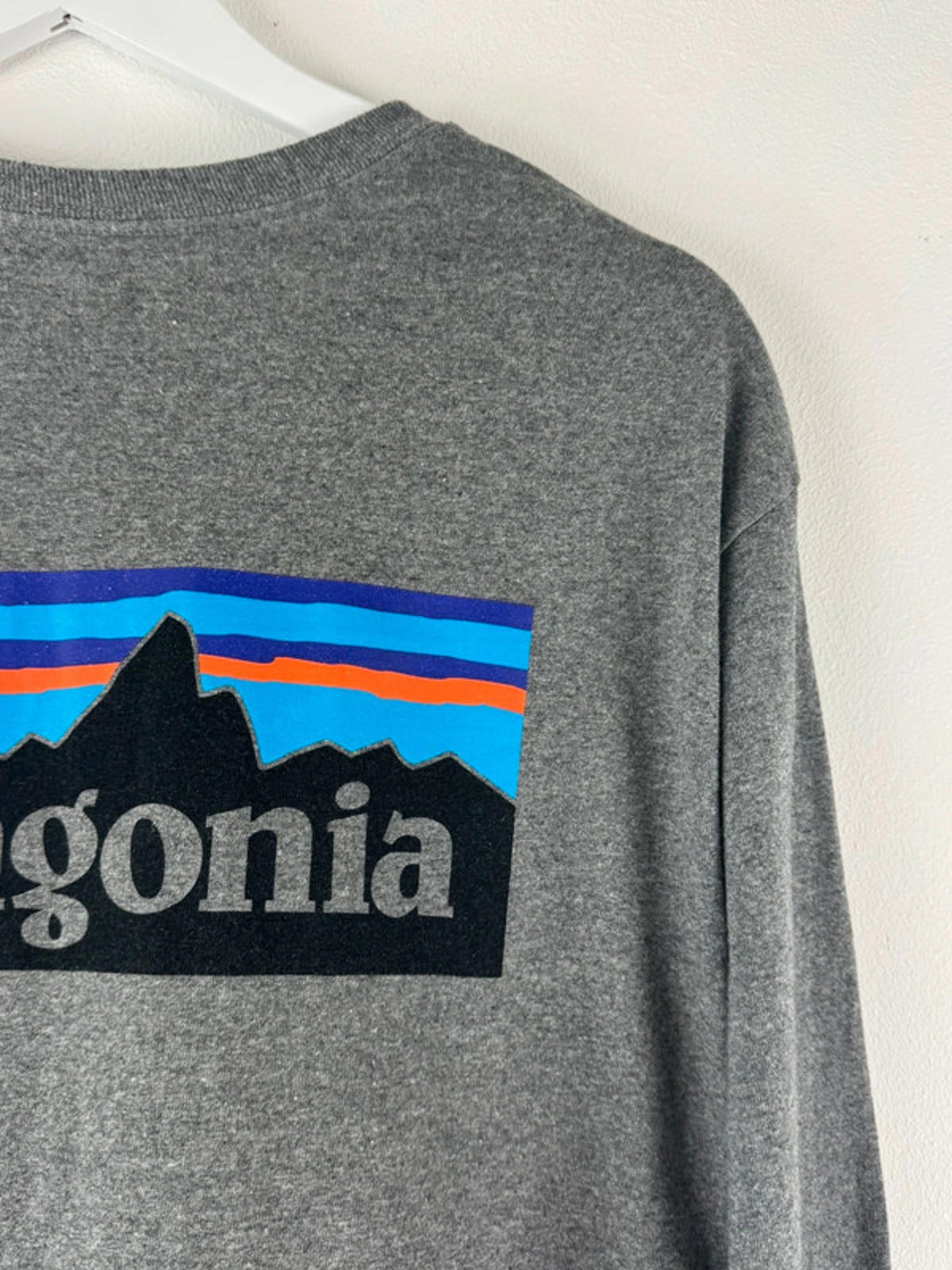 Men’s Patagonia Crew Neck Long Sleeve T-Shirt With Print - Medium -1434