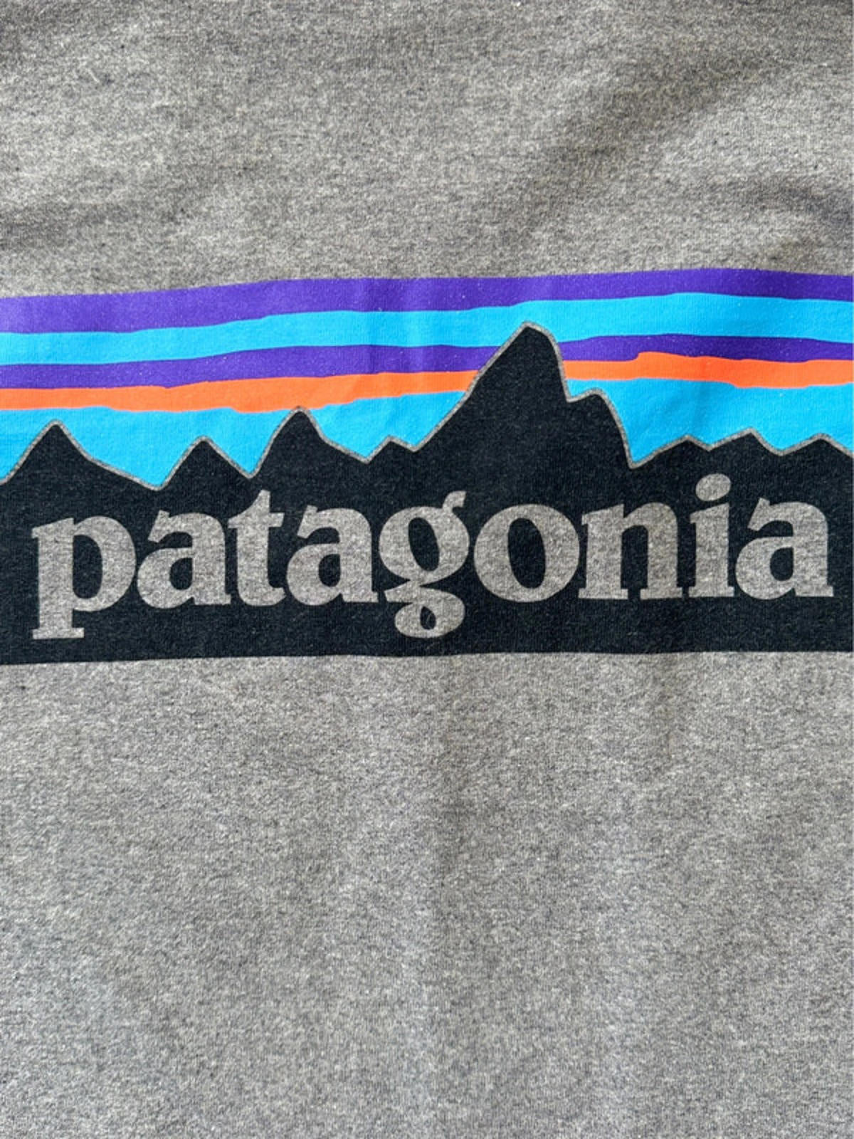 Men’s Patagonia Crew Neck Long Sleeve T-Shirt With Print - Medium -1434