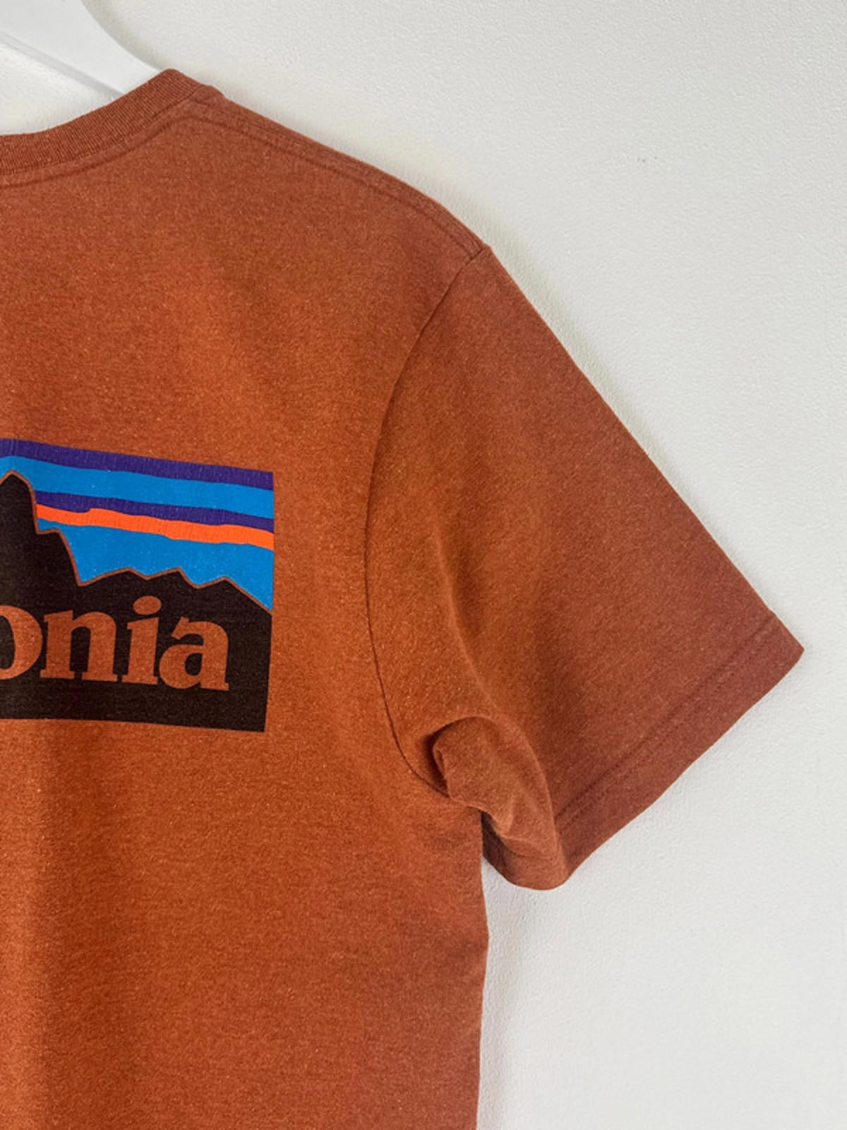 Men’s Patagonia Crew Neck T-Shirt With Print - Medium -1365