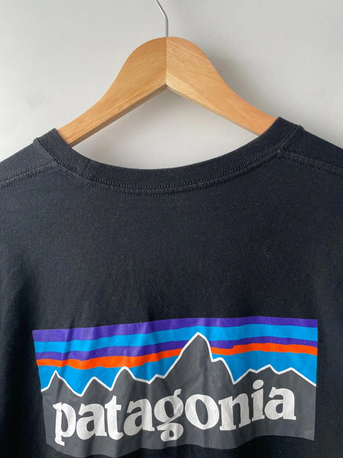Men’s Patagonia Long Sleeve Crew Neck Printed T-shirt - Medium - 1537