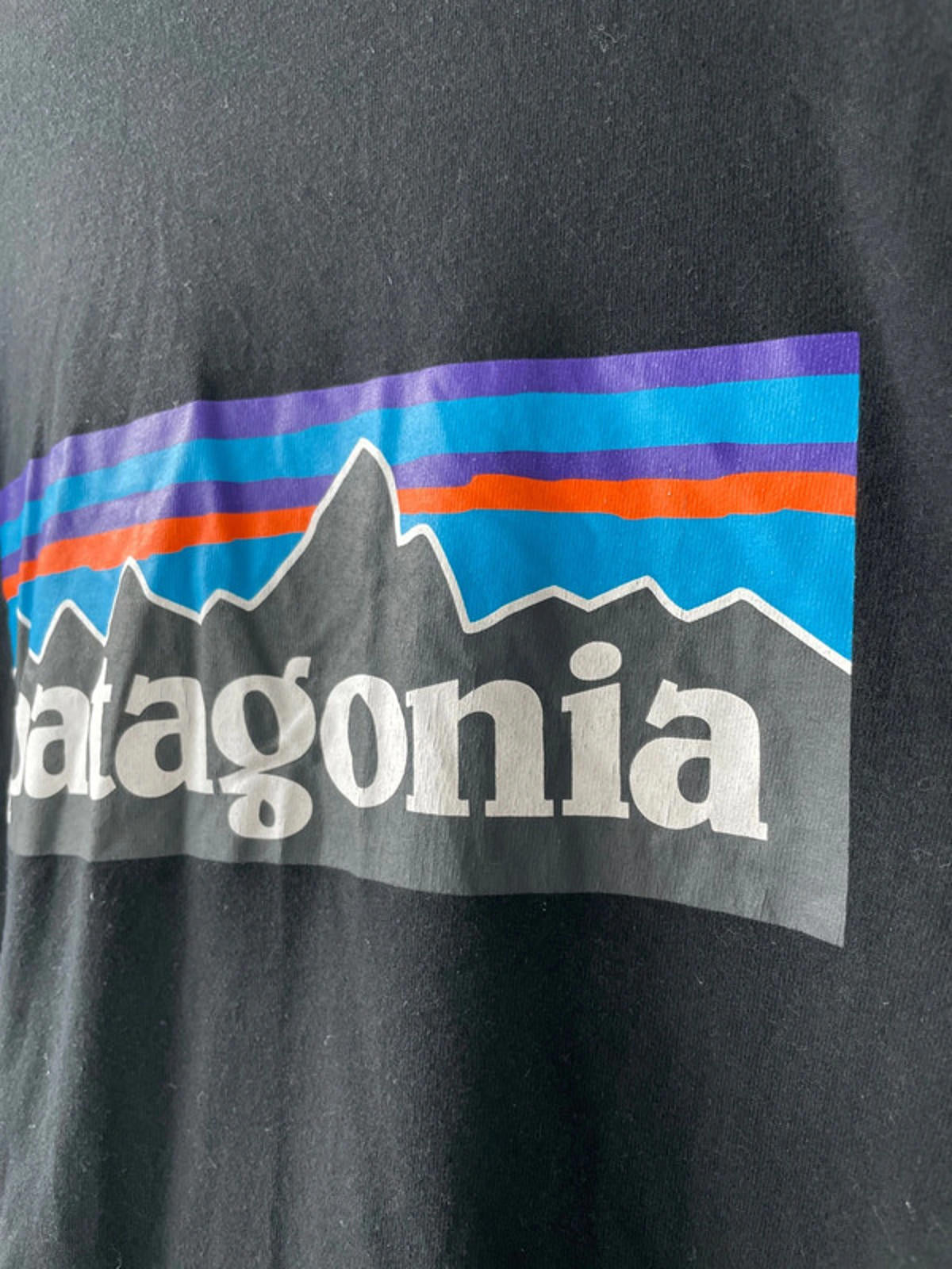 Men’s Patagonia Long Sleeve Crew Neck Printed T-shirt - Medium - 1537