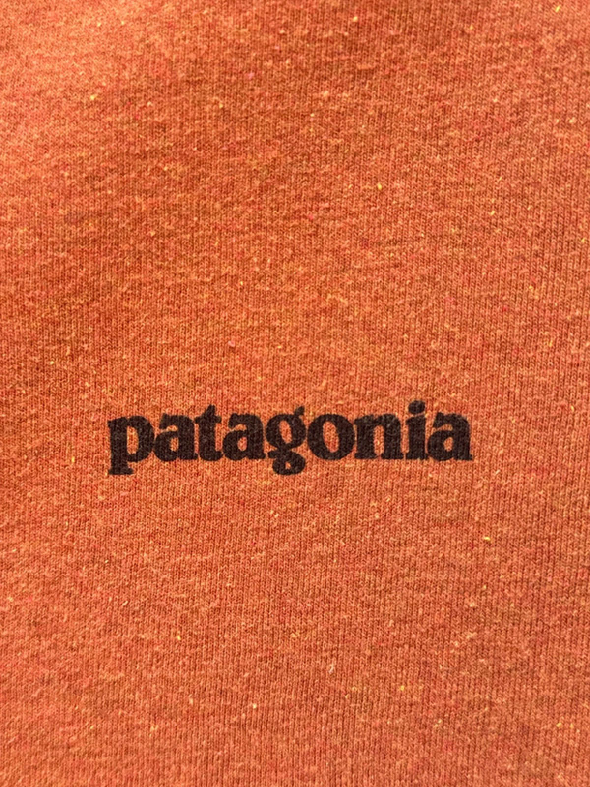 Men’s Patagonia Crew Neck T-Shirt With Print - Medium -1365