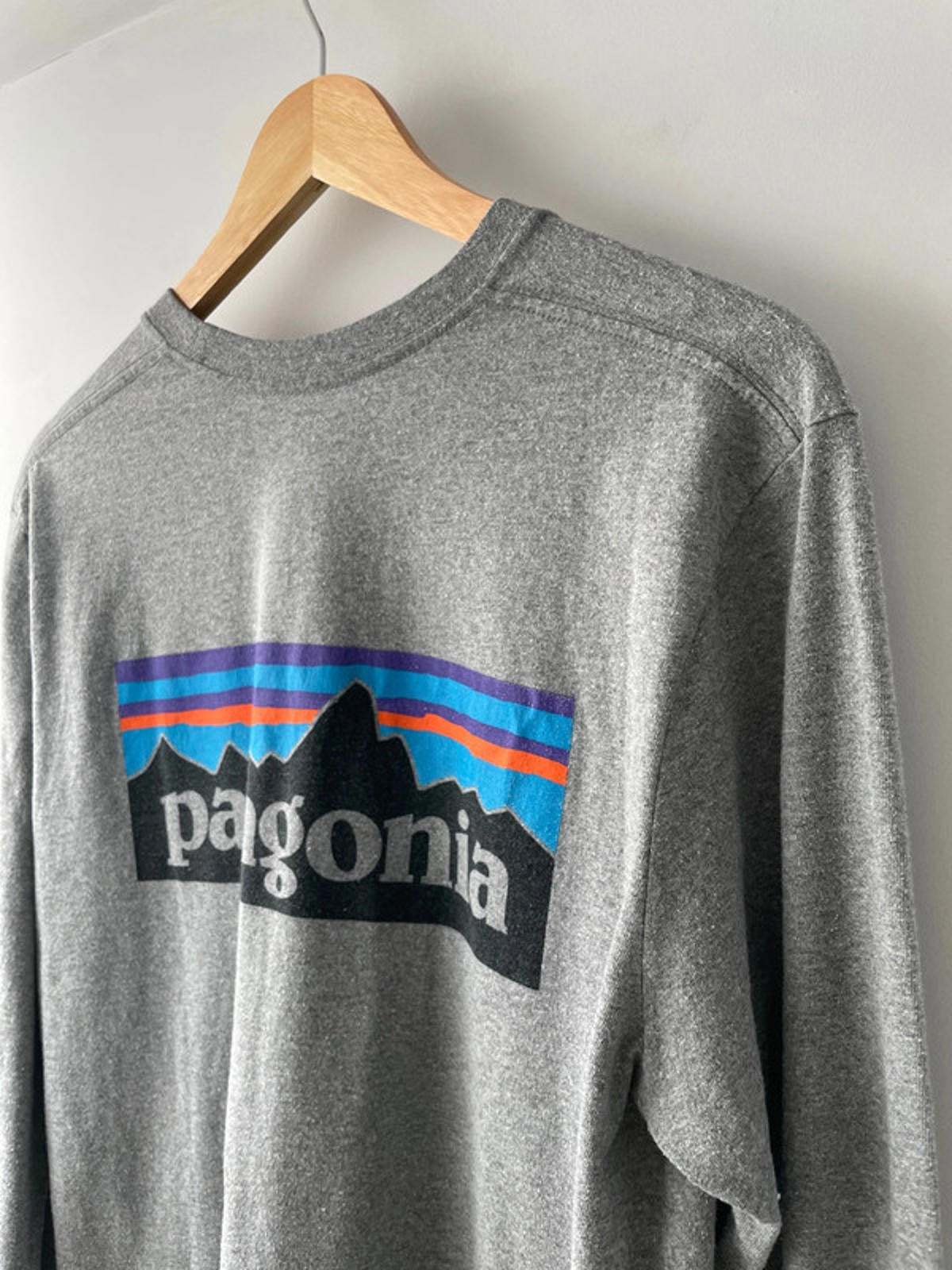 Men’s Patagonia Long Sleeve Crew Neck Printed T-shirt - Medium - 1538