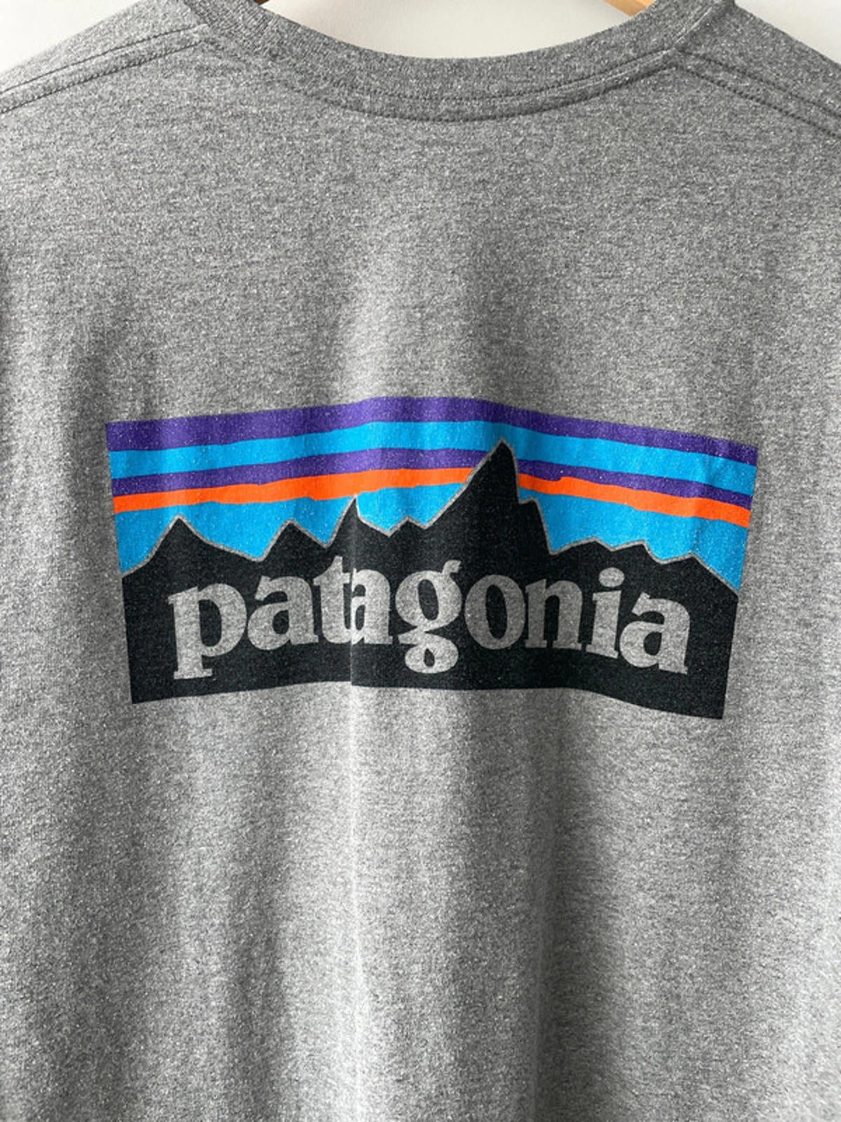 Men’s Patagonia Long Sleeve Crew Neck Printed T-shirt - Medium - 1538