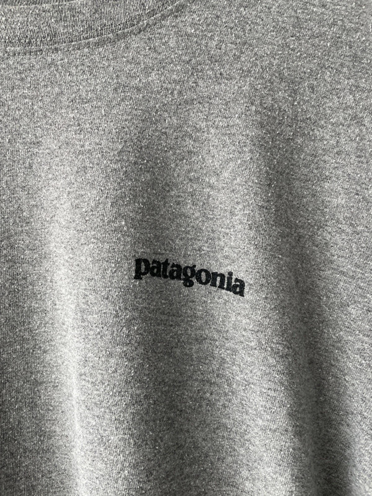 Men’s Patagonia Long Sleeve Crew Neck Printed T-shirt - Medium - 1538