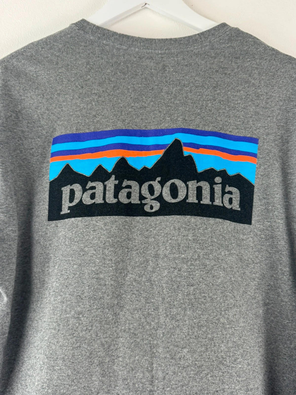 Men’s Patagonia Crew Neck Long Sleeve T-Shirt With Print - Medium -1434