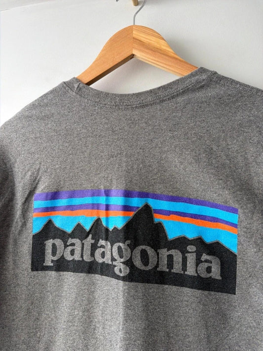 Men’s Patagonia long sleeve crew neck printed t-shirt in grey  - xsmall - 3468