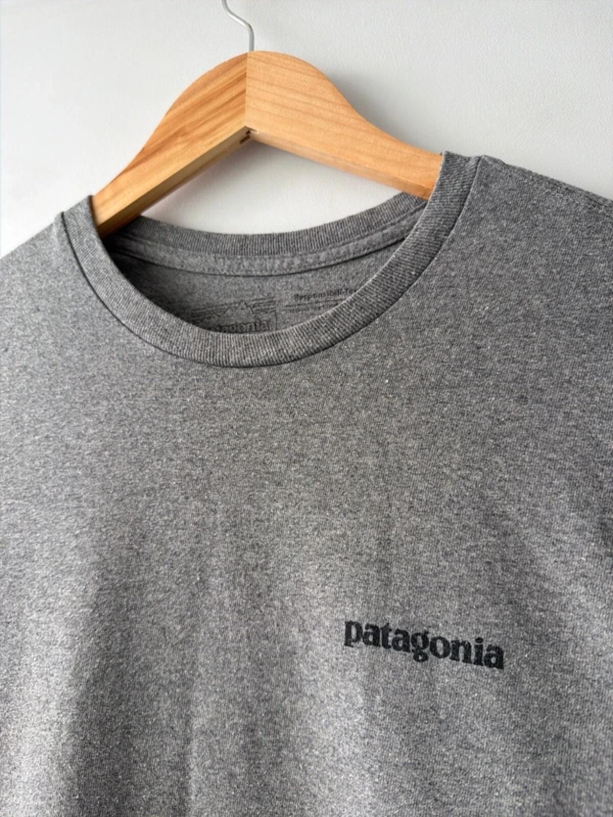 Men’s Patagonia long sleeve crew neck printed t-shirt in grey  - xsmall - 3468