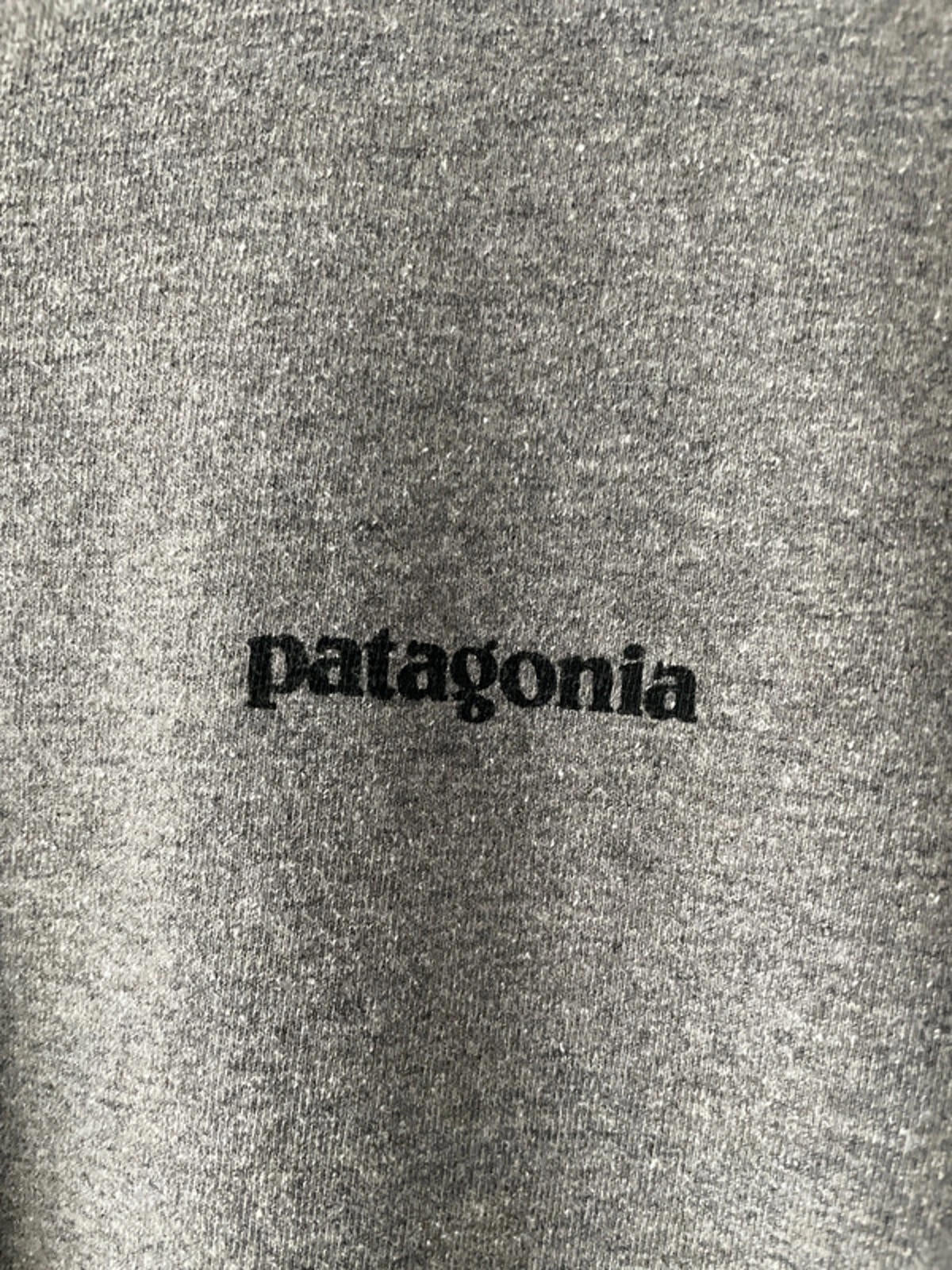 Men’s Patagonia Crew Neck Printed T-shirt In Grey - Medium - 2343