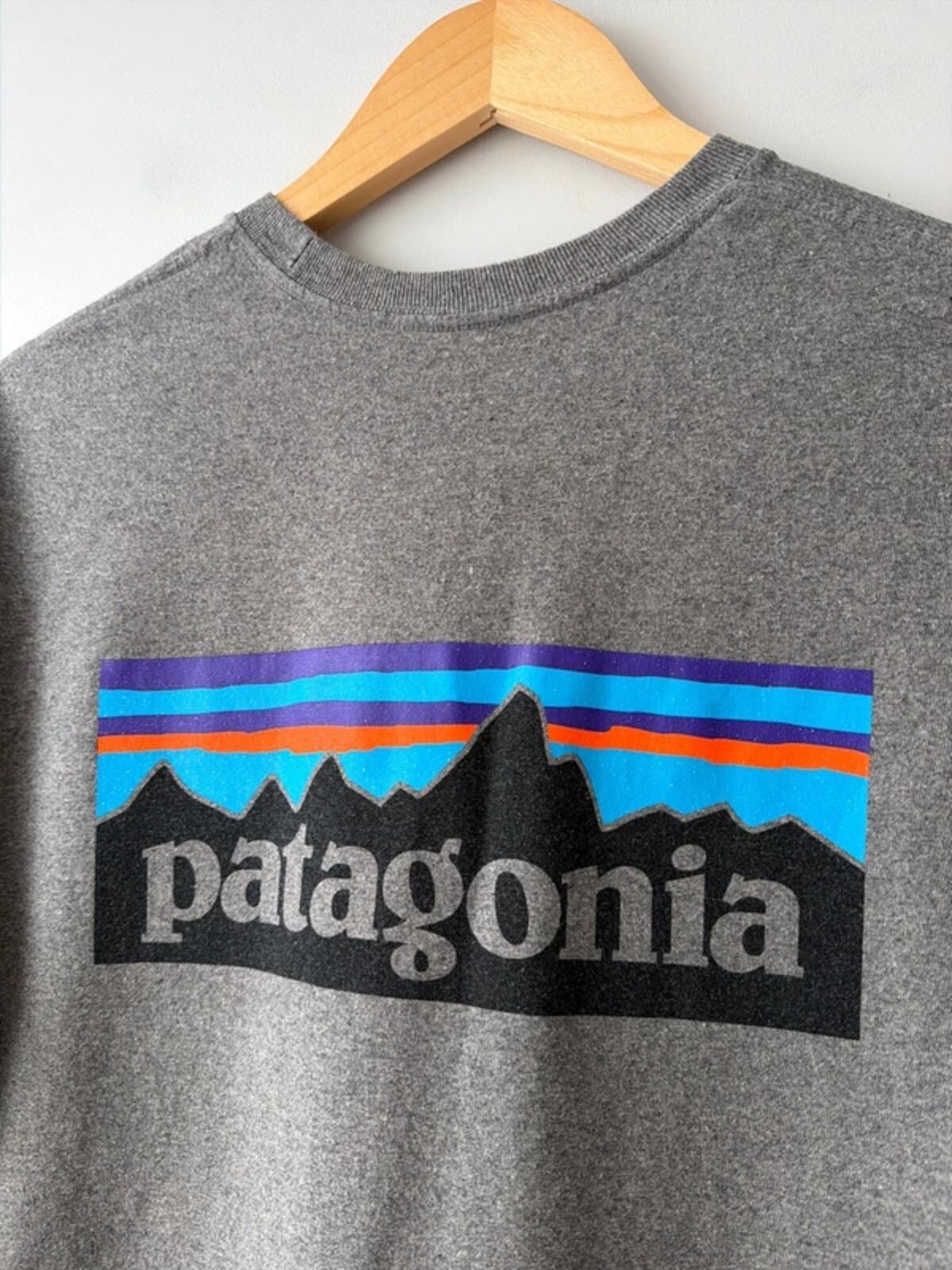 Men’s Patagonia Crew Neck Printed T-shirt In Grey - Small - 3382