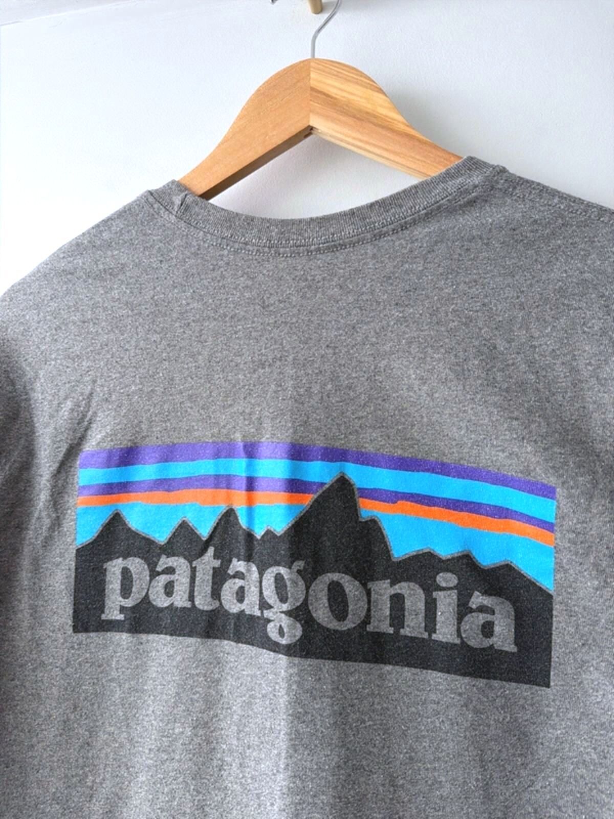 Men’s Patagonia Long Sleeve Crew Neck Printed T-Shirt In Grey  - XSmall - 3468