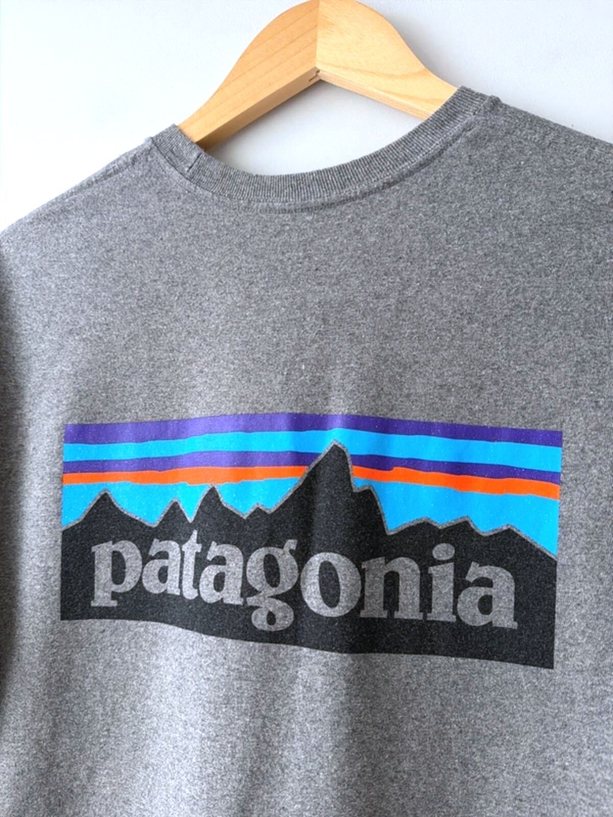 Men’s Patagonia Crew Neck Printed T-shirt In Grey - Small - 3382